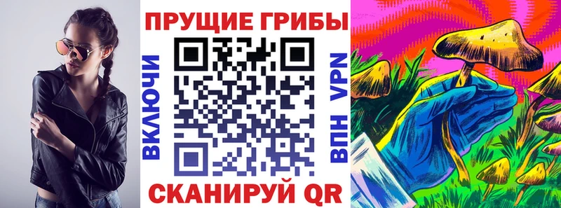 хочу наркоту Горно-Алтайск Псилоцибиновые грибы GOLDEN TEACHER