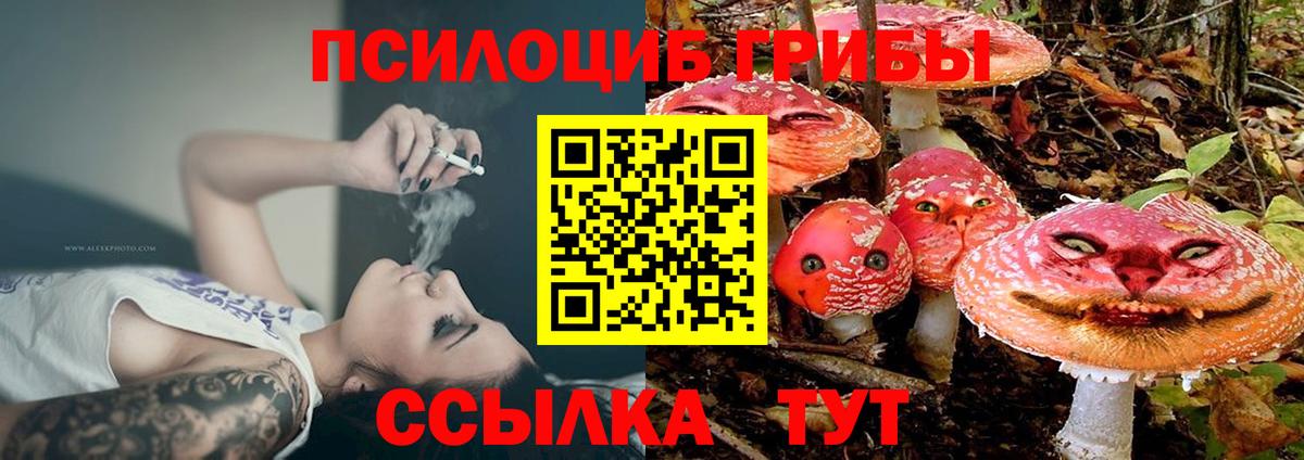 Псилоцибиновые грибы GOLDEN TEACHER  Вход с VPN  Горно-Алтайск 